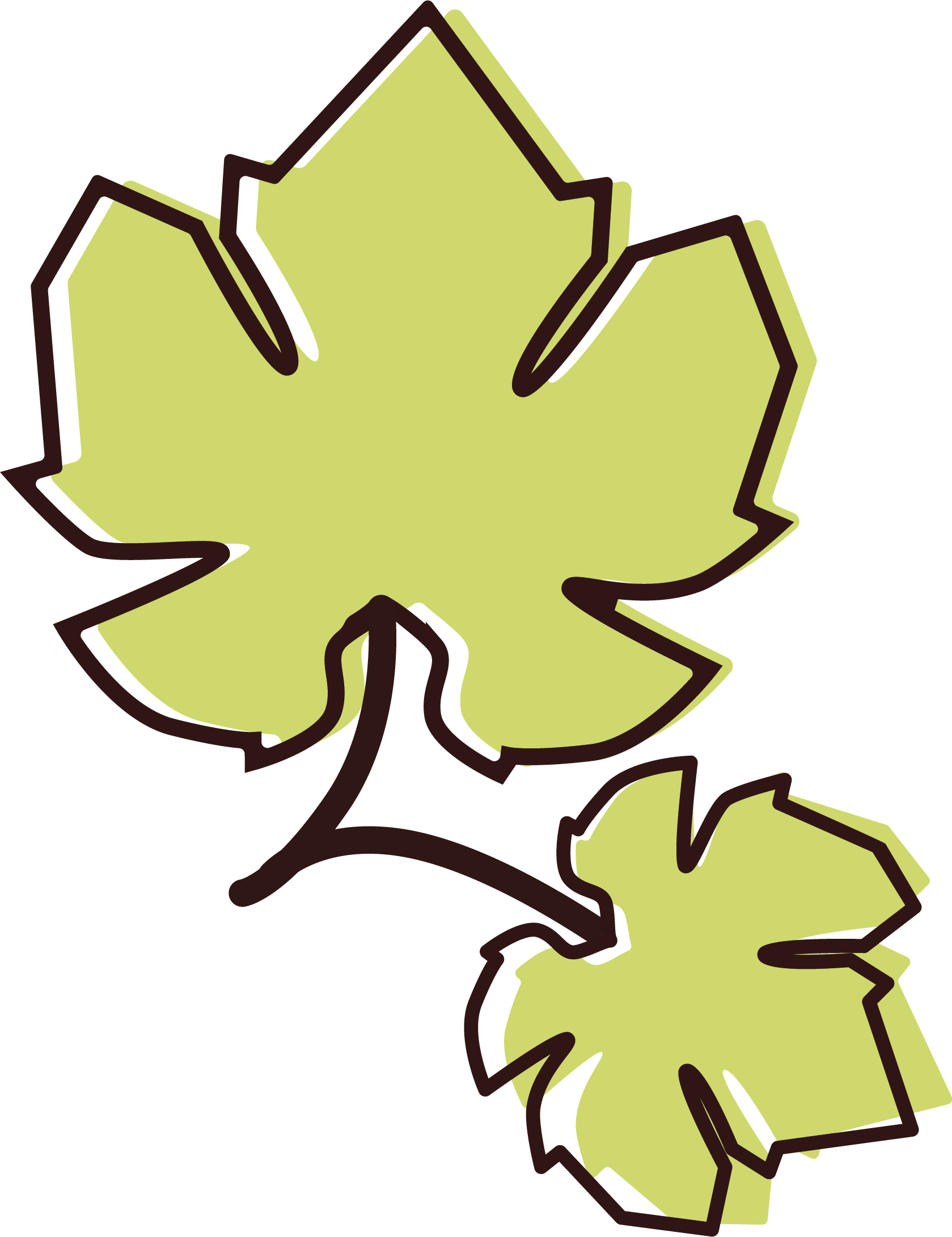 ILL_feuilles_vigne